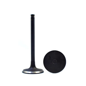 Nissan Engine Valve (Qd32 In)