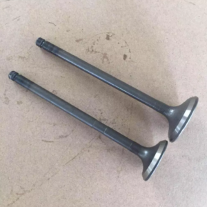 Toyota Engine Valve (3c Ex)