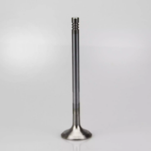 Toyota  Townace Engine Valve (3c In)