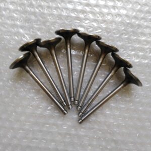 Toyota Vigo Engine Valve (1kd  Ex)