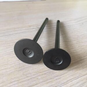 Mazda Engine Valve (We Ex)