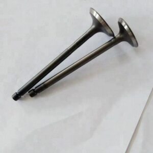 Mazda Engine Valve (Wl  Ex)