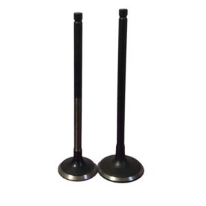 Mazda Engine Valve (Wl  In)