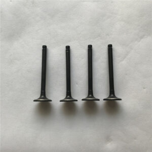 Toyota Vigo Engine Valve (1kd  In)